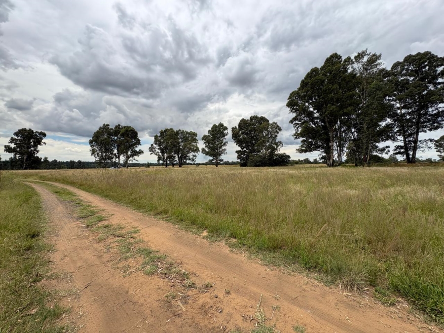 0 Bedroom Property for Sale in Vaalpark Free State